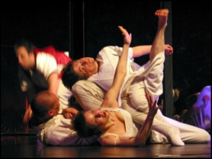festival dansehabile 02